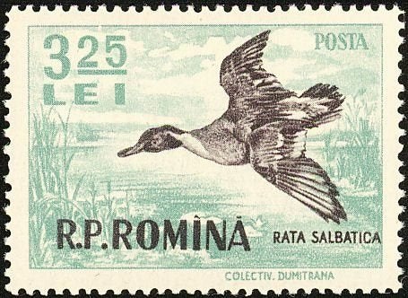 ROEMENIË 131 - Dieren: vogels (pijlstaart), Postzegels en Munten, Postzegels | Thematische zegels, Postfris, Dier of Natuur, Verzenden