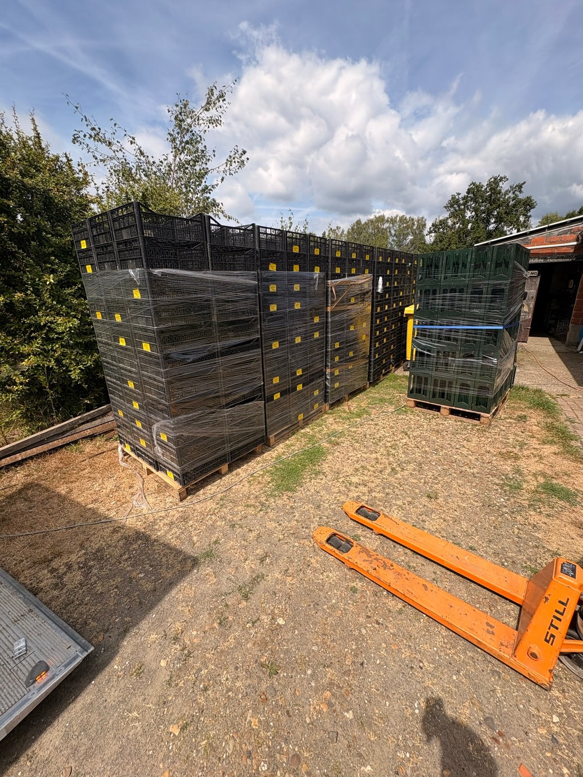 Grote partij zwarte kratten 60x40cm, Doe-het-zelf en Verbouw, Kratten en Dozen, Ophalen, Gebruikt, 40 tot 60 cm, 50 tot 75 cm