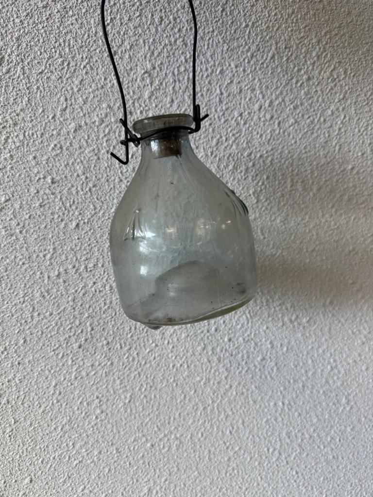 Vintage wespenvanger, Antiek en Kunst, Ophalen of Verzenden