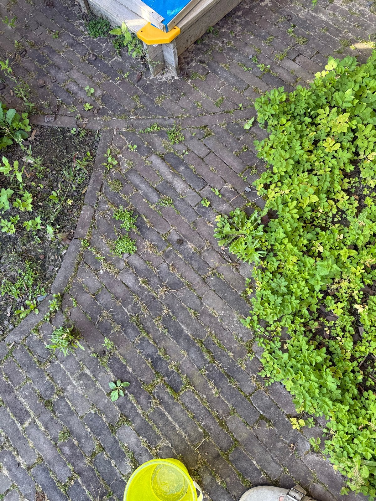 Bruine Waaltjes - Gebruikt, Tuin en Terras, Tegels en Klinkers, Ophalen, Overige materialen, Gebruikt, Klinkers