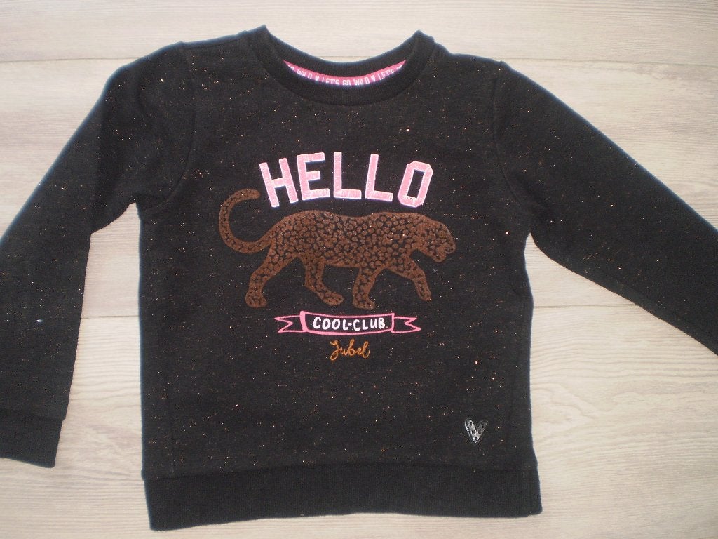 JUBEL sweatshirtje maat 104, Meisje, Trui of Vest, Ophalen of Verzenden, Zo goed als nieuw