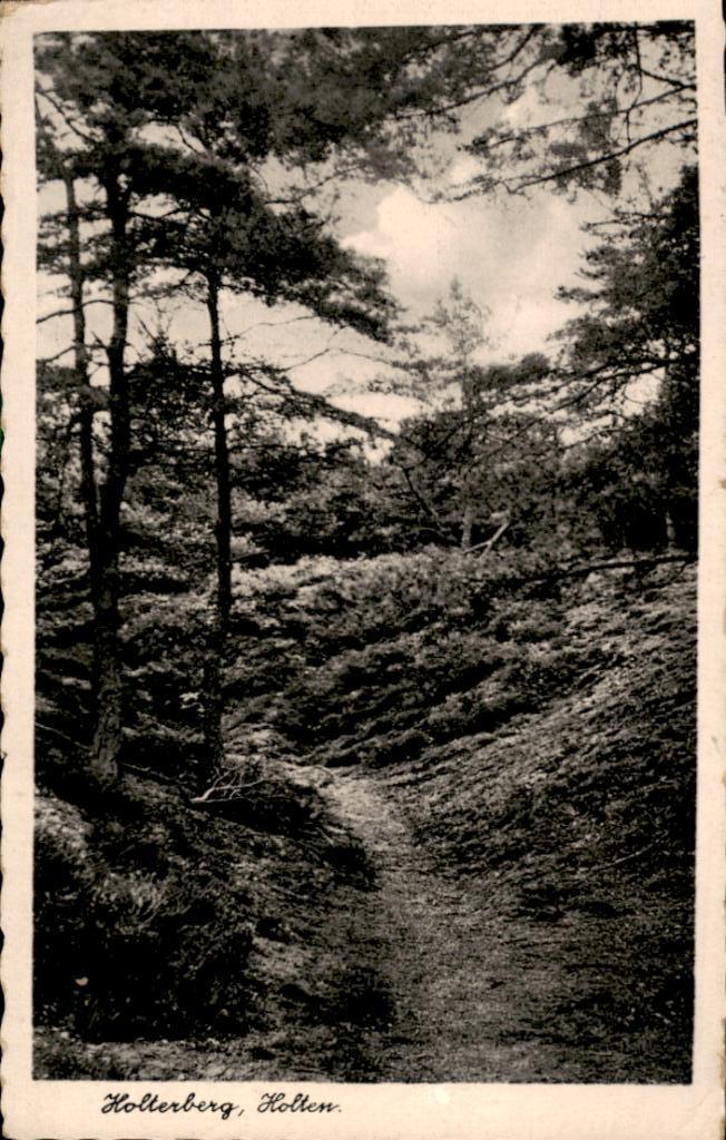 Holten, Holterberg, Verzenden, 1940 tot 1960, Gelopen, Overijssel
