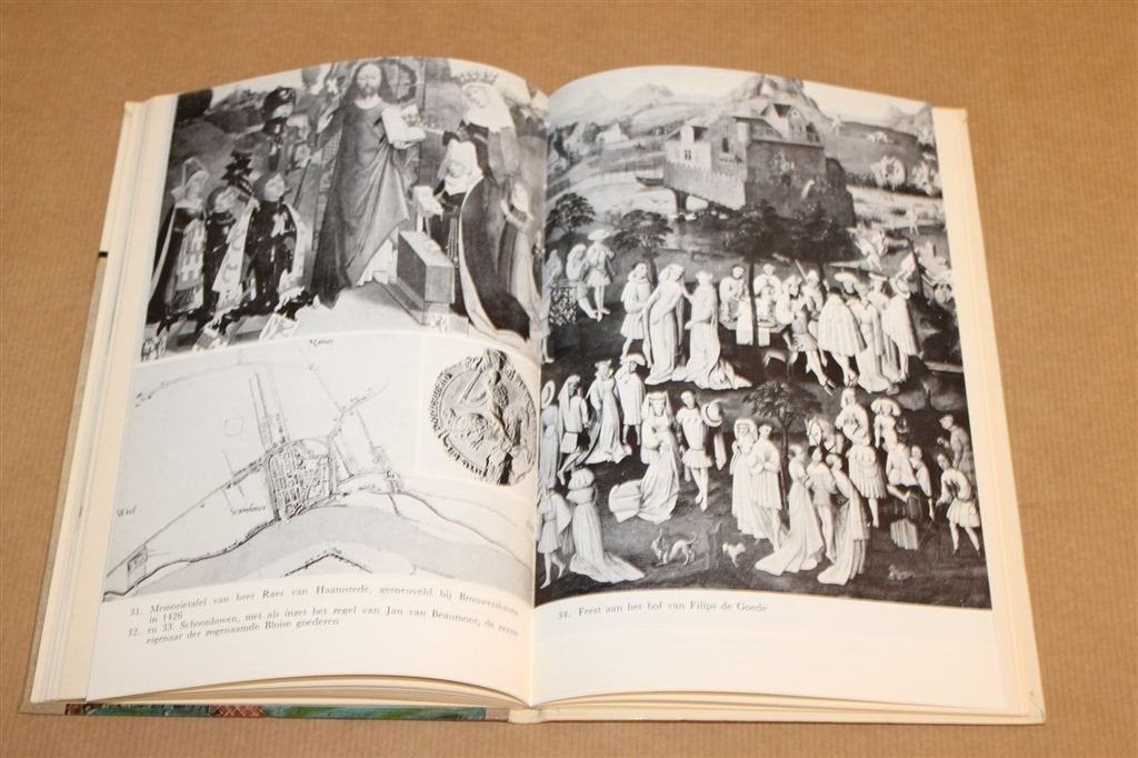 Hoekse en Kabeljauwse Twisten — Vintage 1966, Ophalen of Verzenden, Gelezen, Europa