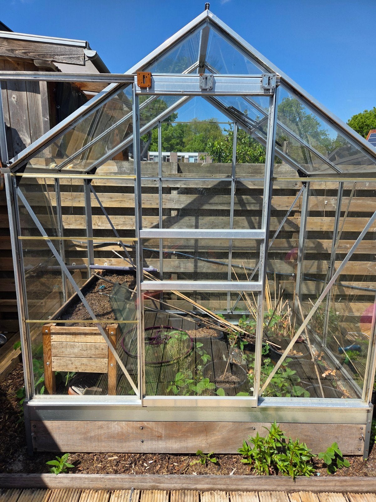 Tuinkas met gehard glas - Zo goed als nieuw!, Tuin en Terras, Kassen, Ophalen, Glas, Zo goed als nieuw, Aluminium