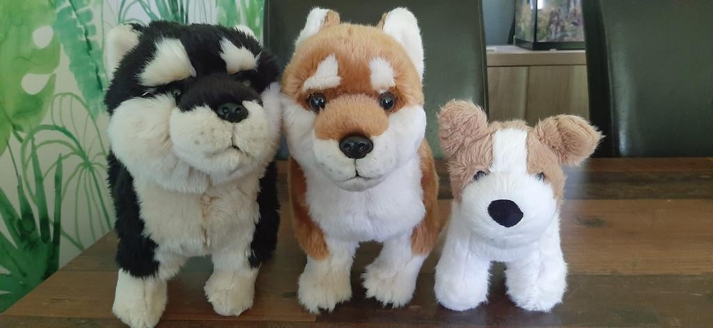 Drie knuffel honden voor €15, Ophalen of Verzenden, Zo goed als nieuw, Bruin, Hond