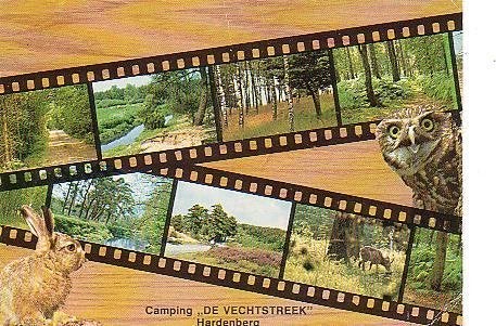 Ansichtkaart 	Rheeze - Hardenberg	De Vechtstreek	Camping, Verzenden, 1960 tot 1980, Gelopen, Overijssel