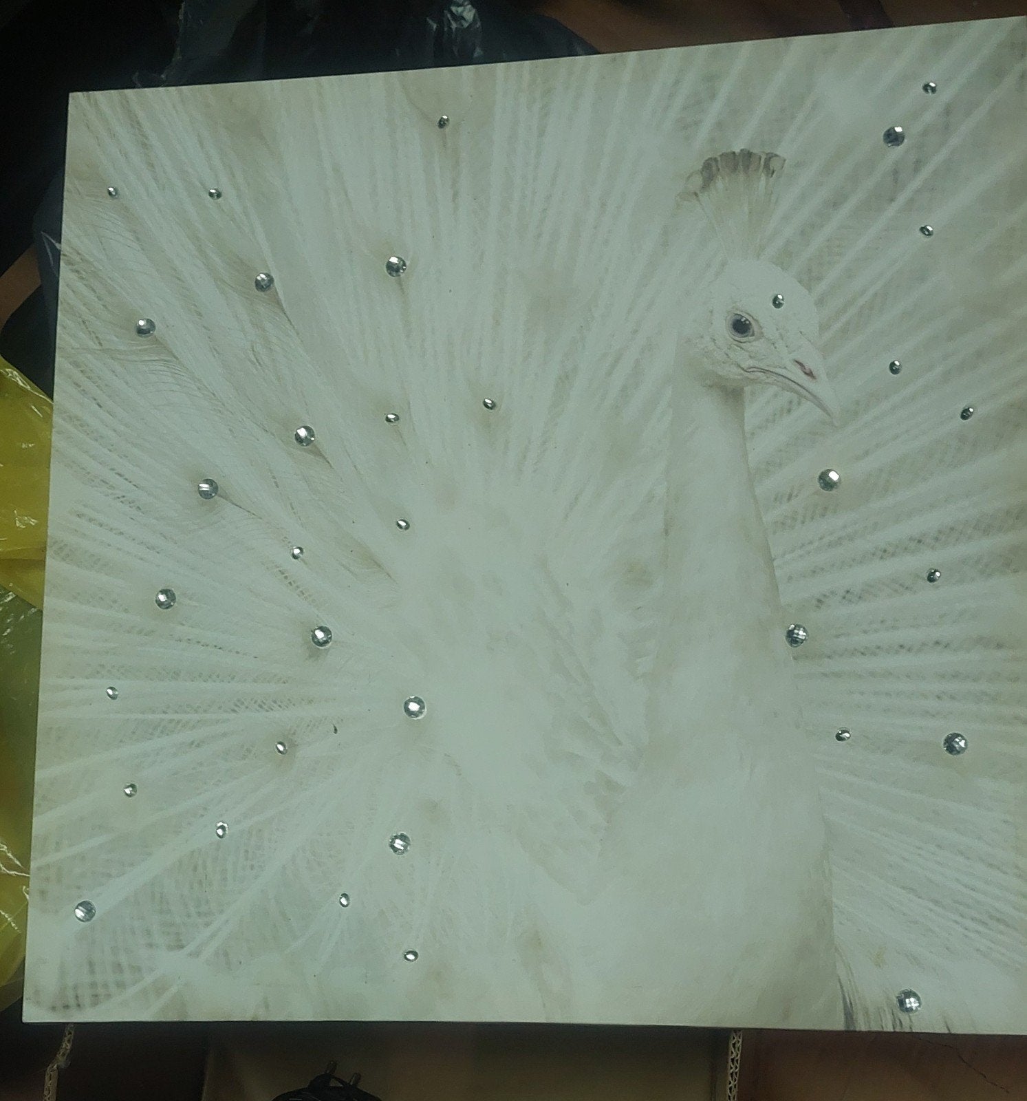 Canvas schilderij witte pauw 50x50 cm, Ophalen, 50 – 75, Zo goed als nieuw, Schilderij