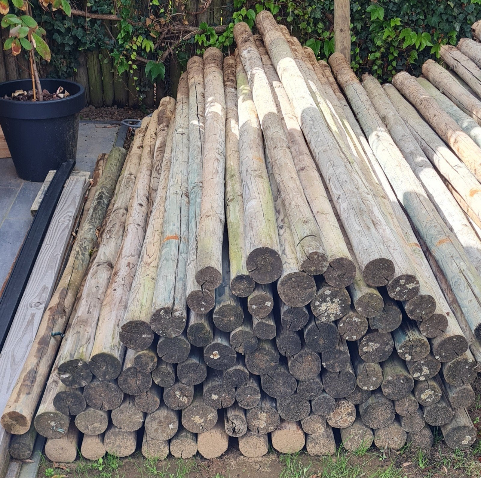 Geïmpregneerde palen, Ophalen, Gebruikt, 180 tot 250 cm, Palen