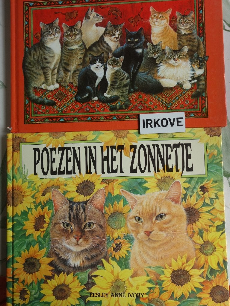 POEZEN IN HET ZONNETJE / MIJN KATTEN * 2 Prentenboeken *, Verzenden, Zo goed als nieuw, Katten, LESLEY ANNE IVORY