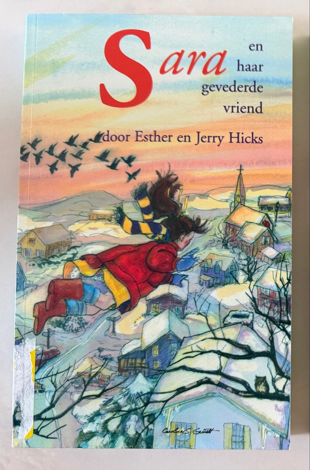 Sara en haar gevederde vriend - Esther en Jerry Hicks, Boeken, Ophalen of Verzenden, Gelezen, Fictie algemeen
