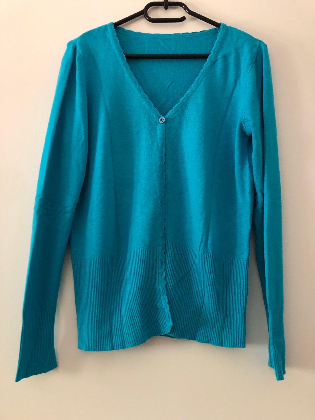 Lien & Giel  vestje in turquoise, maat M, Kleding | Dames, Ophalen of Verzenden, Gedragen, Maat 38/40 (M), Overige kleuren