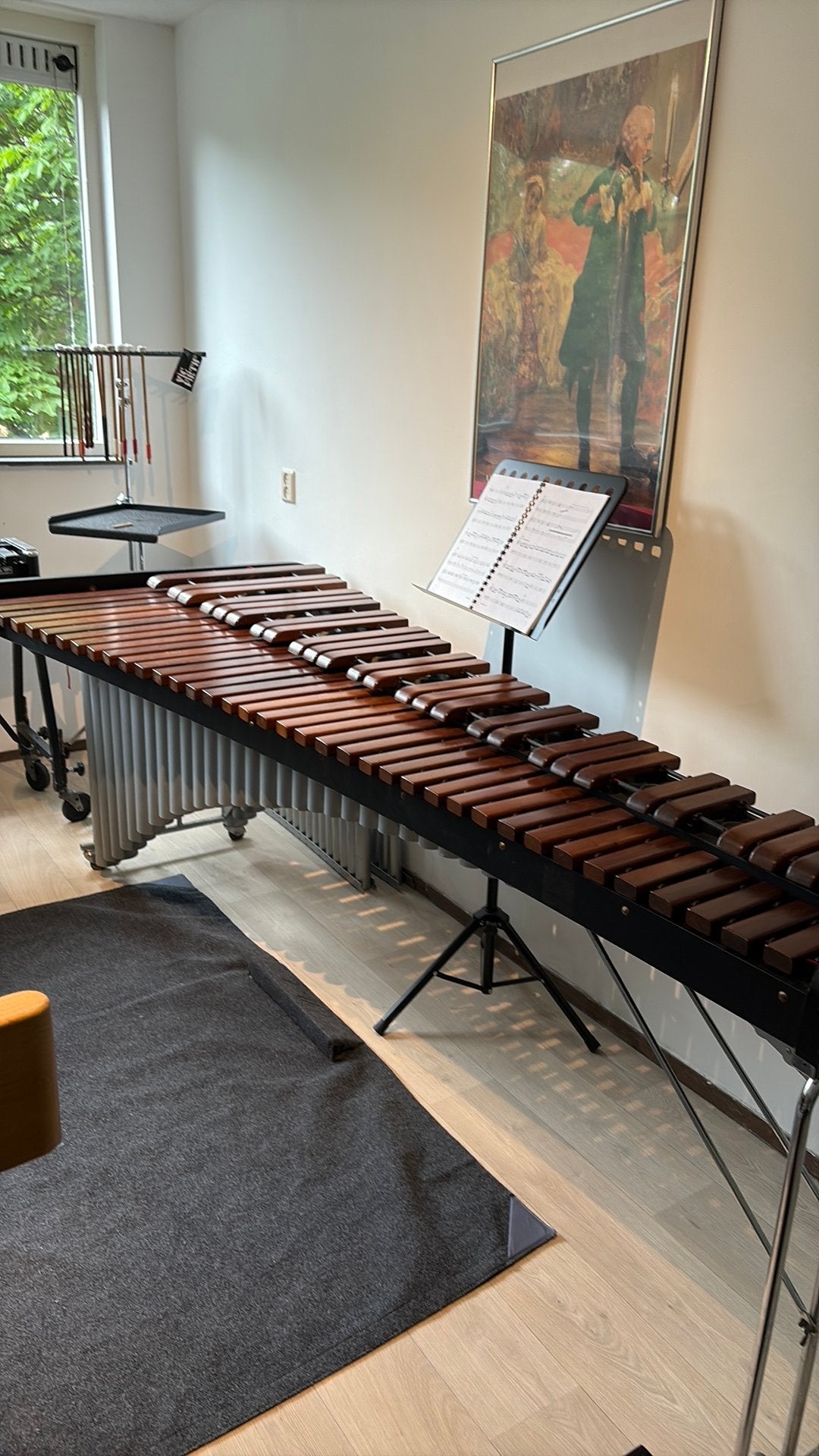 Marimba, Muziek en Instrumenten, Ophalen of Verzenden, Overige merken