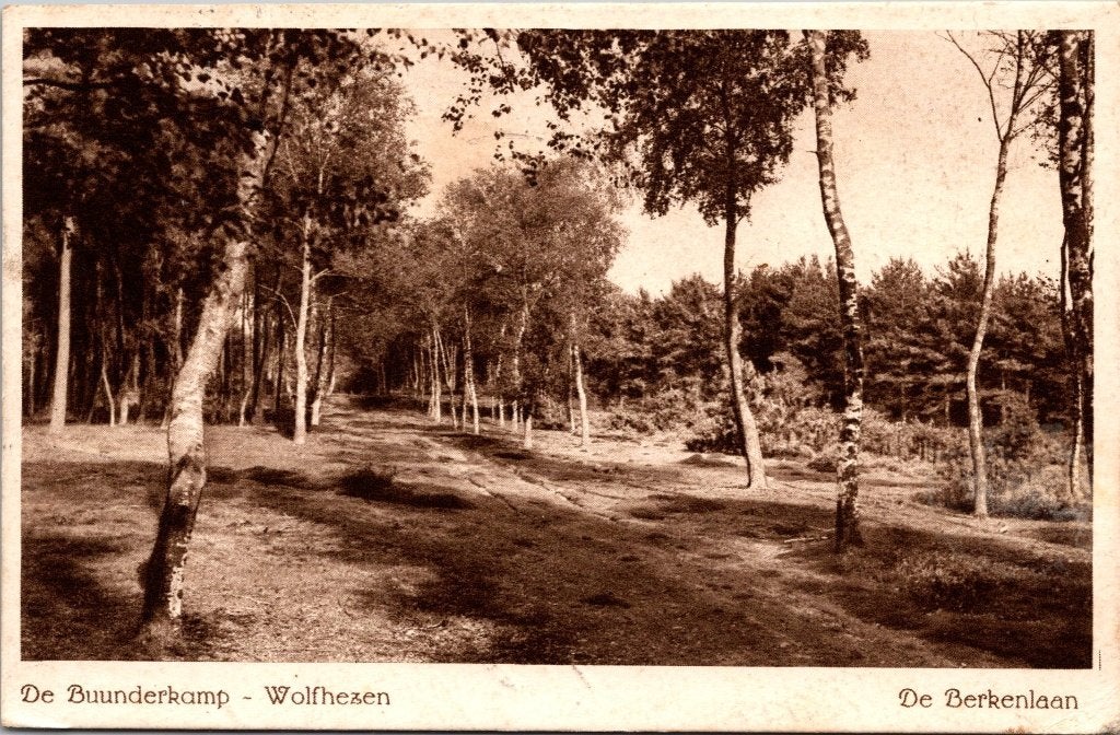 Wolfheze - 10 oude ansichtkaarten, Verzenden, 1940 tot 1960, Gelopen, Gelderland