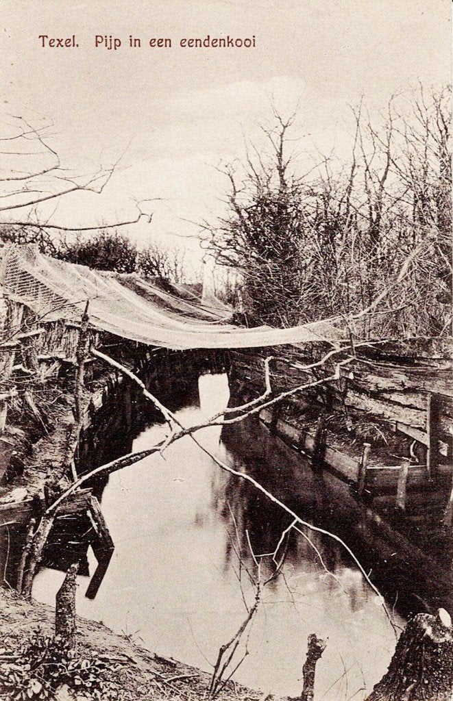 Oosterend, Verzenden, Voor 1920, Ongelopen, Waddeneilanden