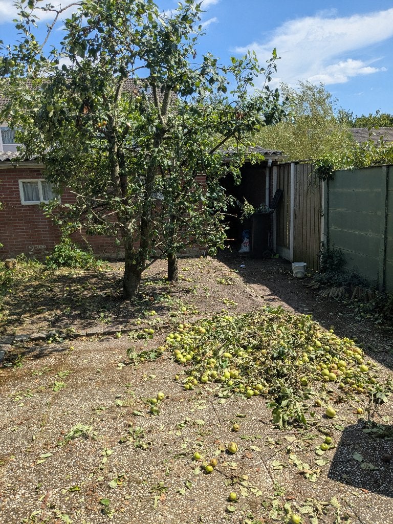 2 Appel boom & 4 druiven boom, Ophalen