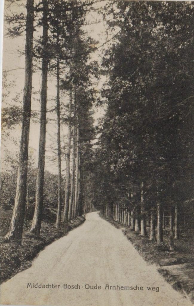 14 Middachter Bosch Oude Arnhemsche weg 1918 gelopen, Ophalen of Verzenden, Voor 1920, Gelopen, Gelderland