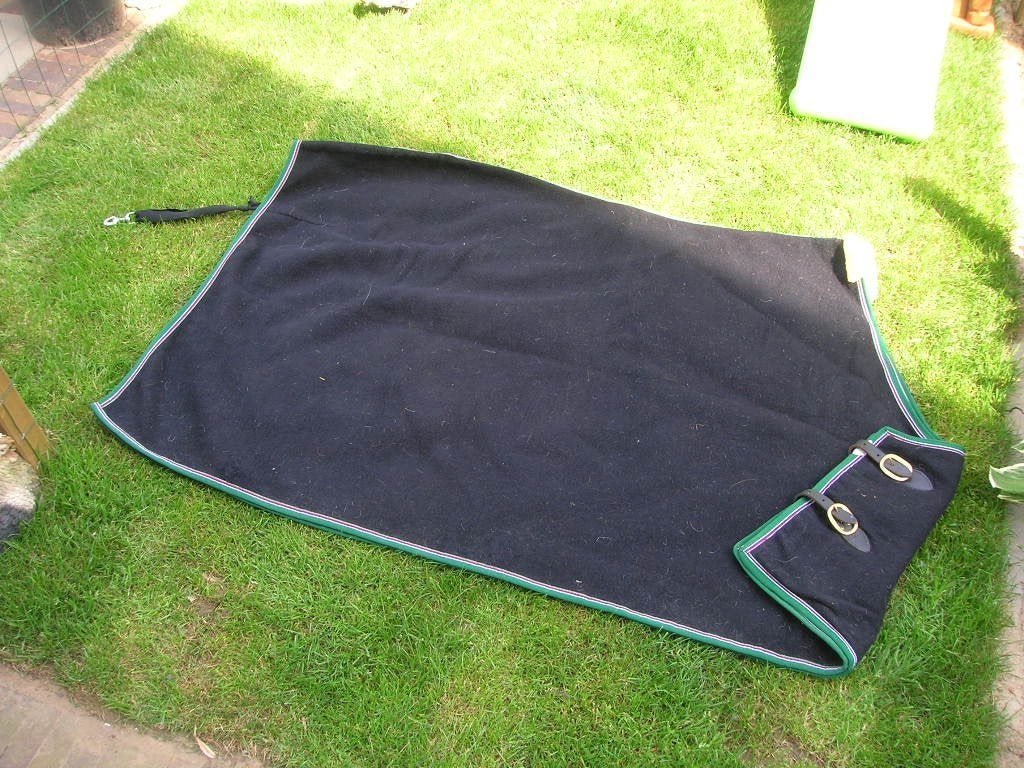 Paarden uitrijdeken blauw, Ophalen of Verzenden, Gebruikt, Blauw, Deken