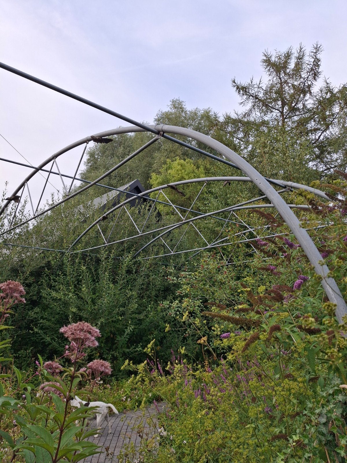 Grote kasbogen voor tuinkas 10 m breed.  175 euro per stuk, Tuin en Terras, Overkappingen, Ophalen, Gebruikt