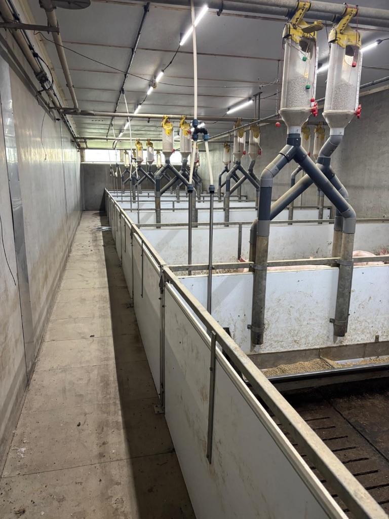 Hokinrichting voor opfok gelten [280]