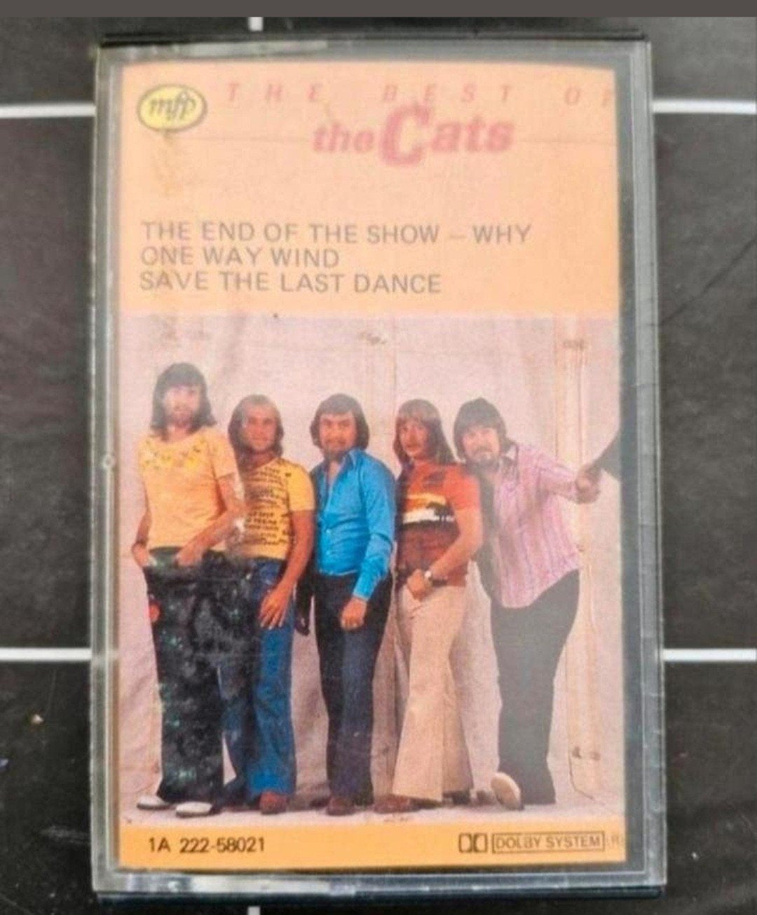 Cassettevandje The Cats, Ophalen of Verzenden, Zo goed als nieuw, Pop, 1 bandje