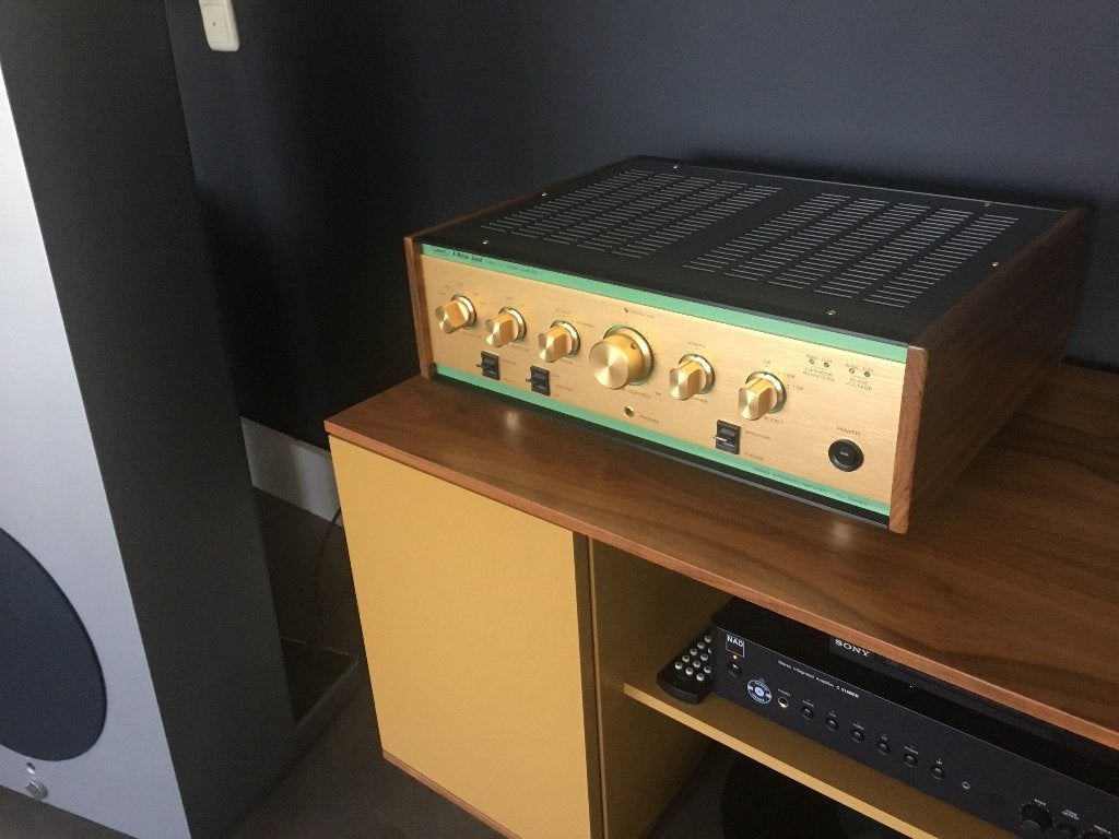 Leben cs 600 x buizenversterker, Ophalen, Buis of Buizen