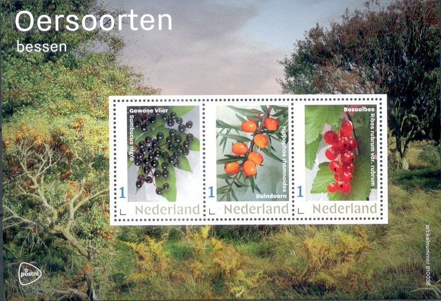 vel persoonlijke zegels postfris oersoorten - bessen, Ophalen of Verzenden, Na 1940, Postfris