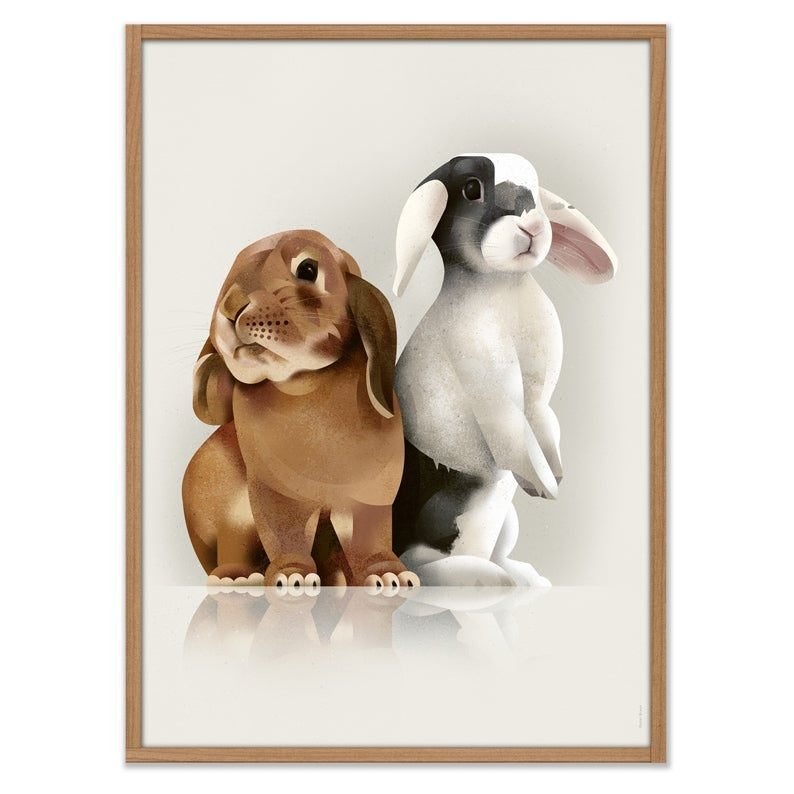 Kinderposter Poster Konijnen 70 x 50 cm Dieter Braun, Dieter@brauntown.com, HEINRICHSTRASSE 7 22767 HAMBURG, Nieuw, Ophalen of Verzenden