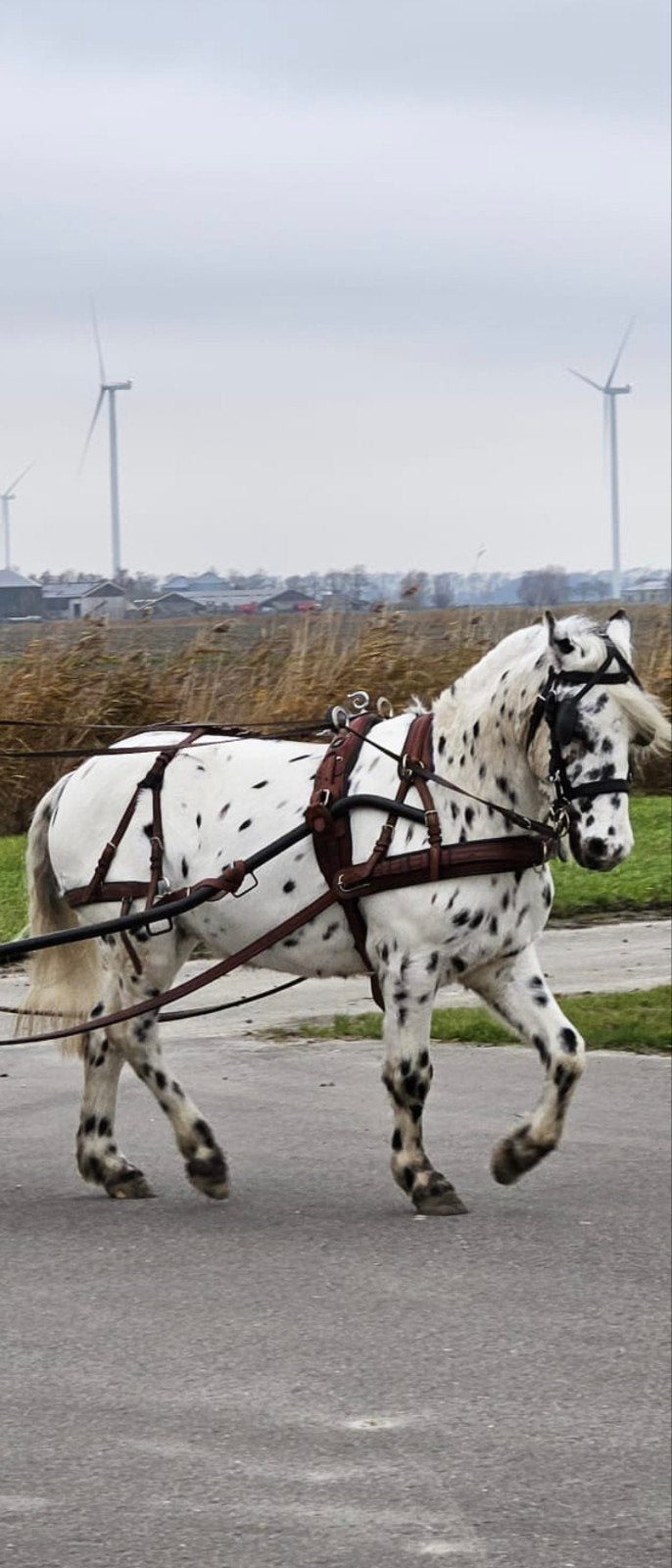 als nieuw cognac mentuig maat pony/cob, Ophalen of Verzenden, Bruin, Mentuig, Pony