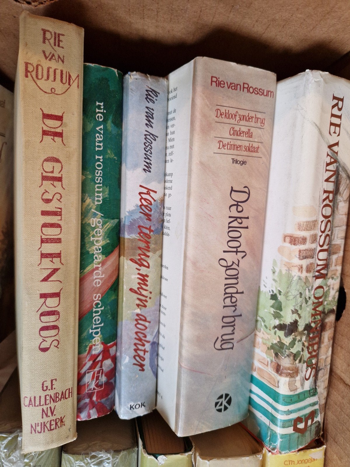 Rie van Rossum Boeken Collectie - Diverse Titels, Ophalen of Verzenden, Gelezen, Rie van Rossum