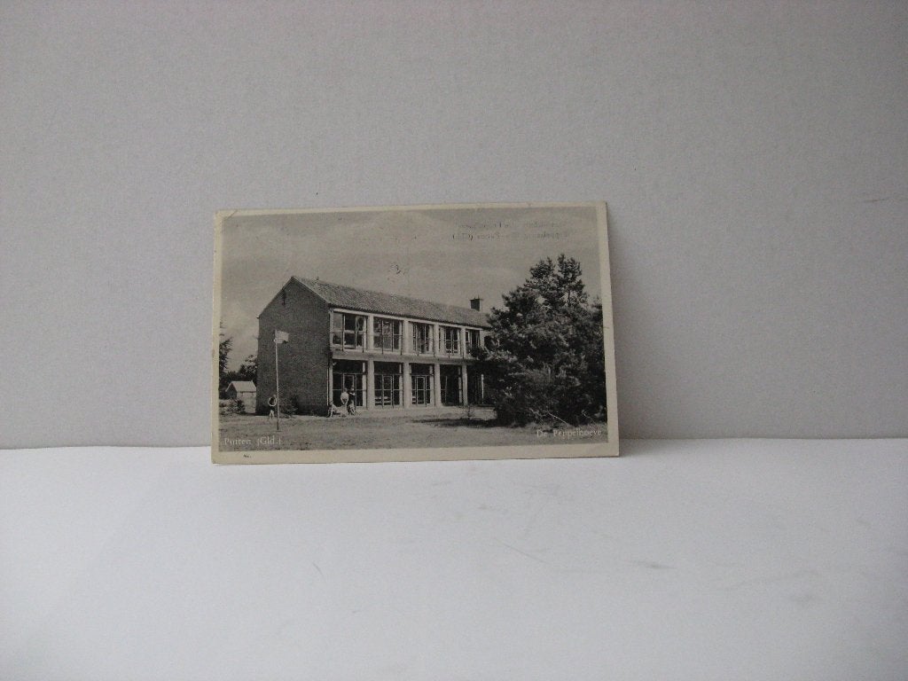 Putten Peppelhoeve, Verzamelen, Ansichtkaarten | Nederland, Ophalen of Verzenden, Voor 1920, Gelopen, Noord-Brabant