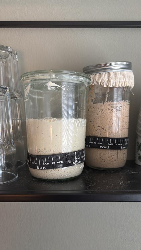 Zuurdesemstarter Actief/Gedroogd (wit,tarwe,spelt,rogge), Ophalen of Verzenden