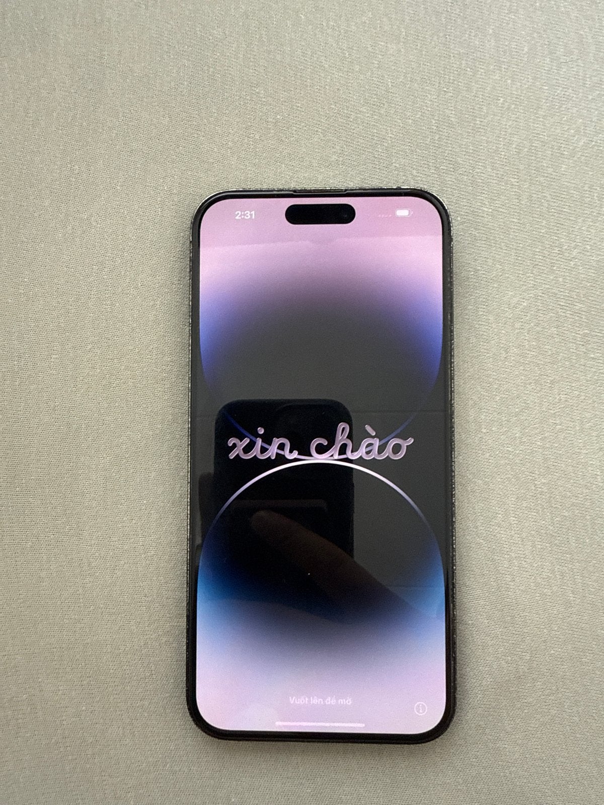 iPhone 14 Pro Max met gebruikssporen, Ophalen, Paars, IPhone 14 Pro Max, 128 GB