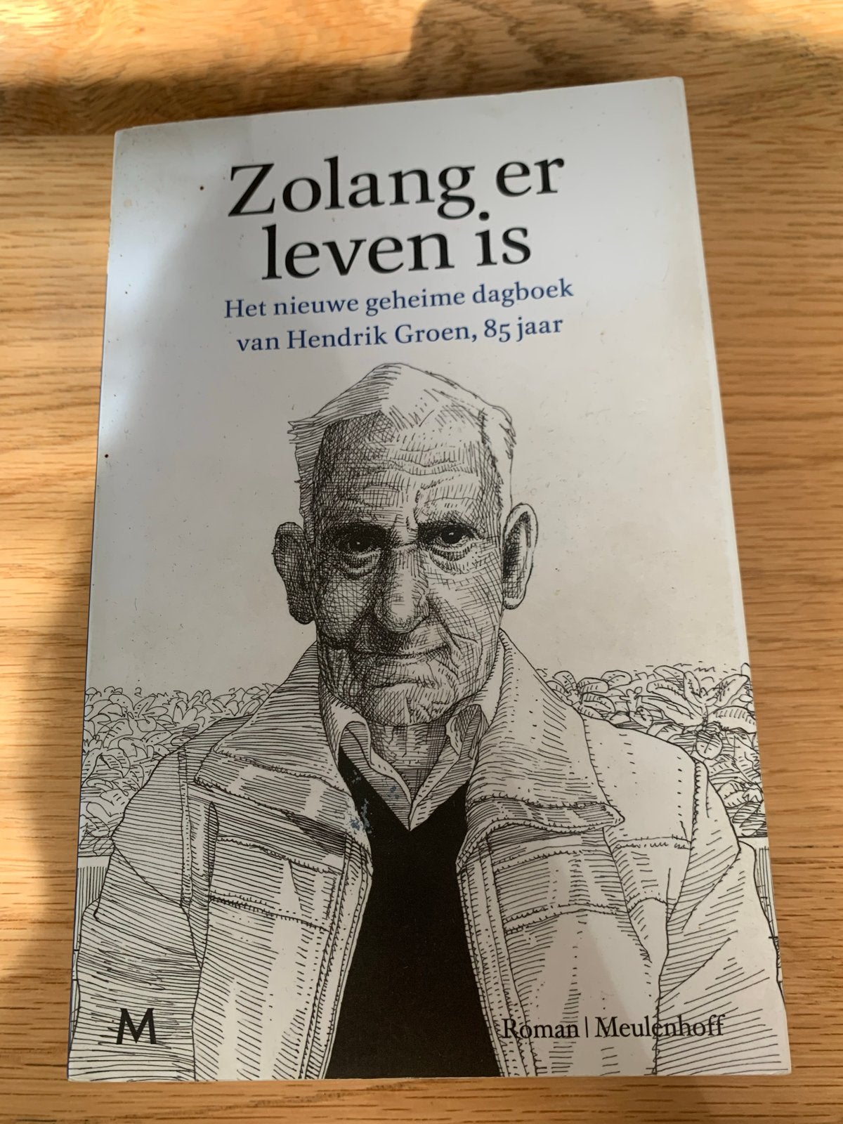 Zolang er leven is - Het geheime dagboek van Hendrik Groen, Ophalen of Verzenden, Zo goed als nieuw, Nederland