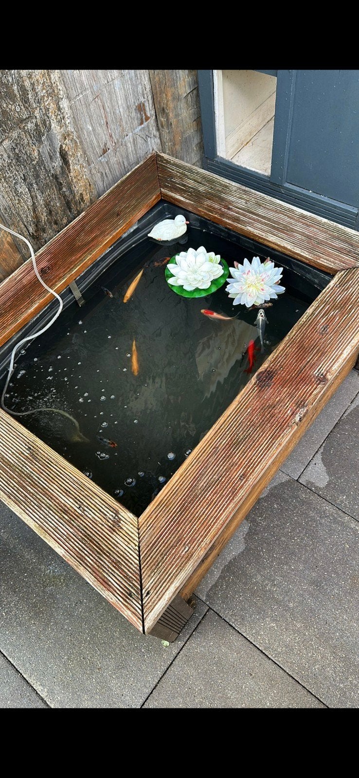 Vijver met houten ombouw, zonder vissen., Ophalen