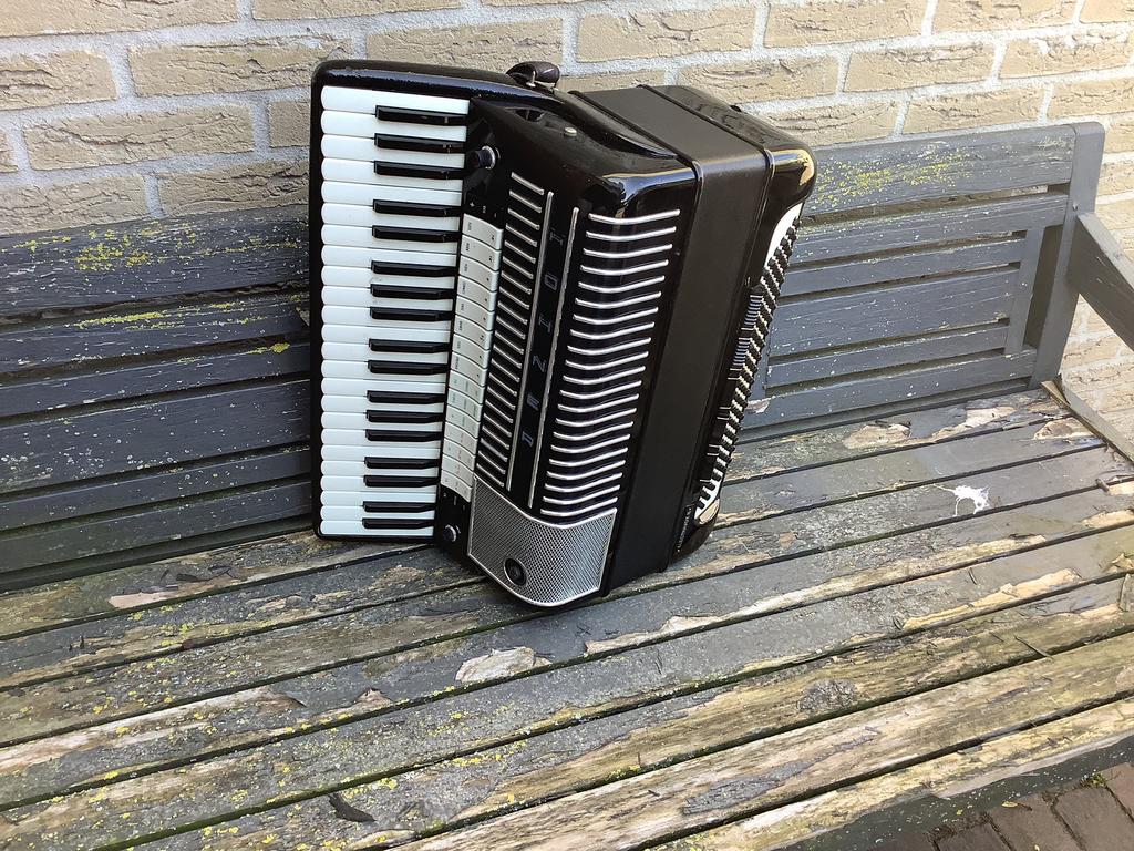 Hohner electravox, Ophalen of Verzenden, Zo goed als nieuw, Overige formaten, Hohner