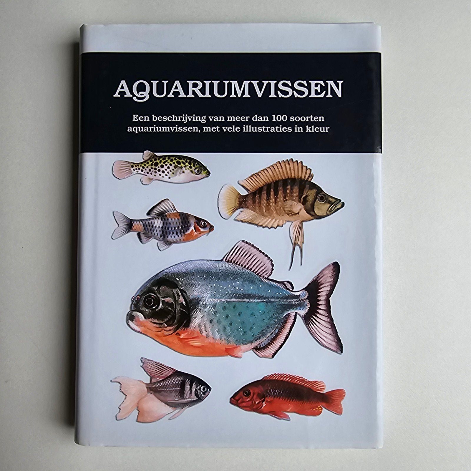 I. Petrovicky - Aquariumvissen, Boeken, I. Petrovicky, Ophalen of Verzenden, Zo goed als nieuw, Vissen
