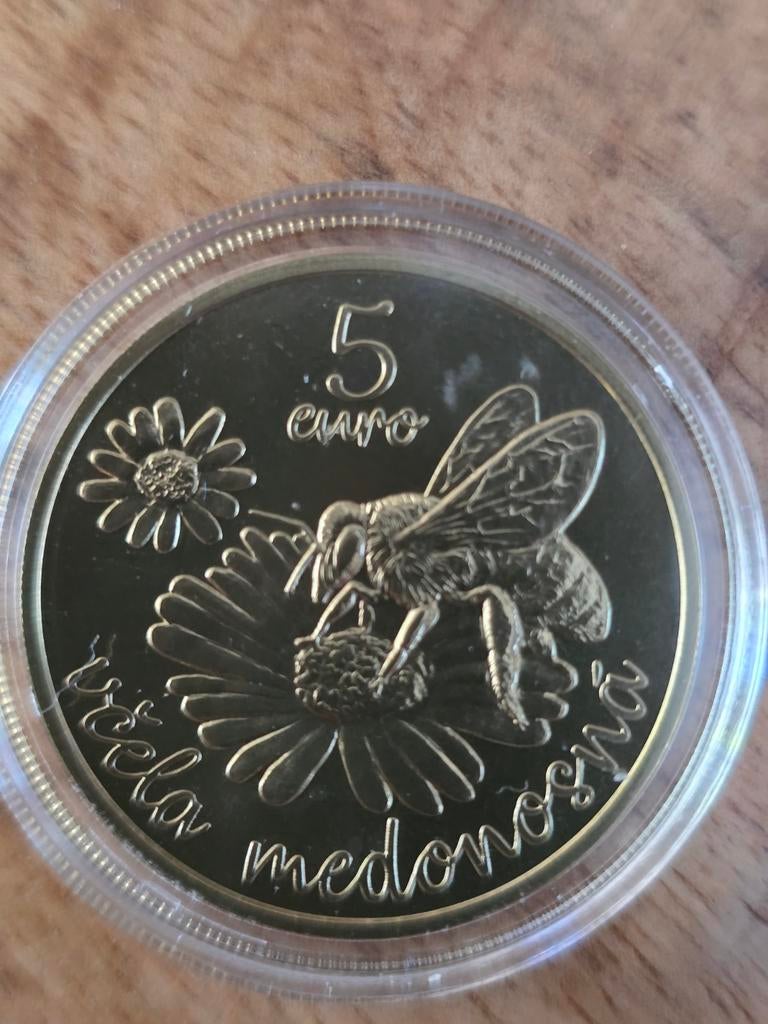 Slowakije 5 Euro Bijenmunt 2021 - Zeldzaam verzamelstuk, Ophalen of Verzenden, Overige landen, Losse munt