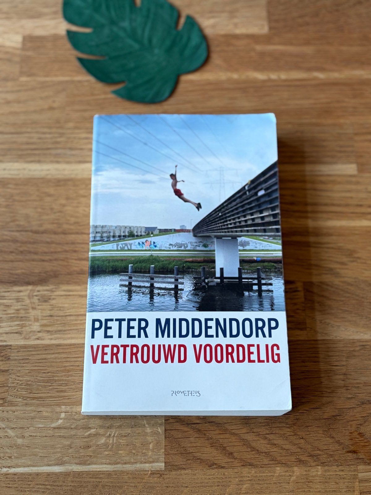 Boek - Peter Middendorp - Vertrouwd voordelig, Boeken, Ophalen of Verzenden, Zo goed als nieuw, Peter Middendorp, Nederland