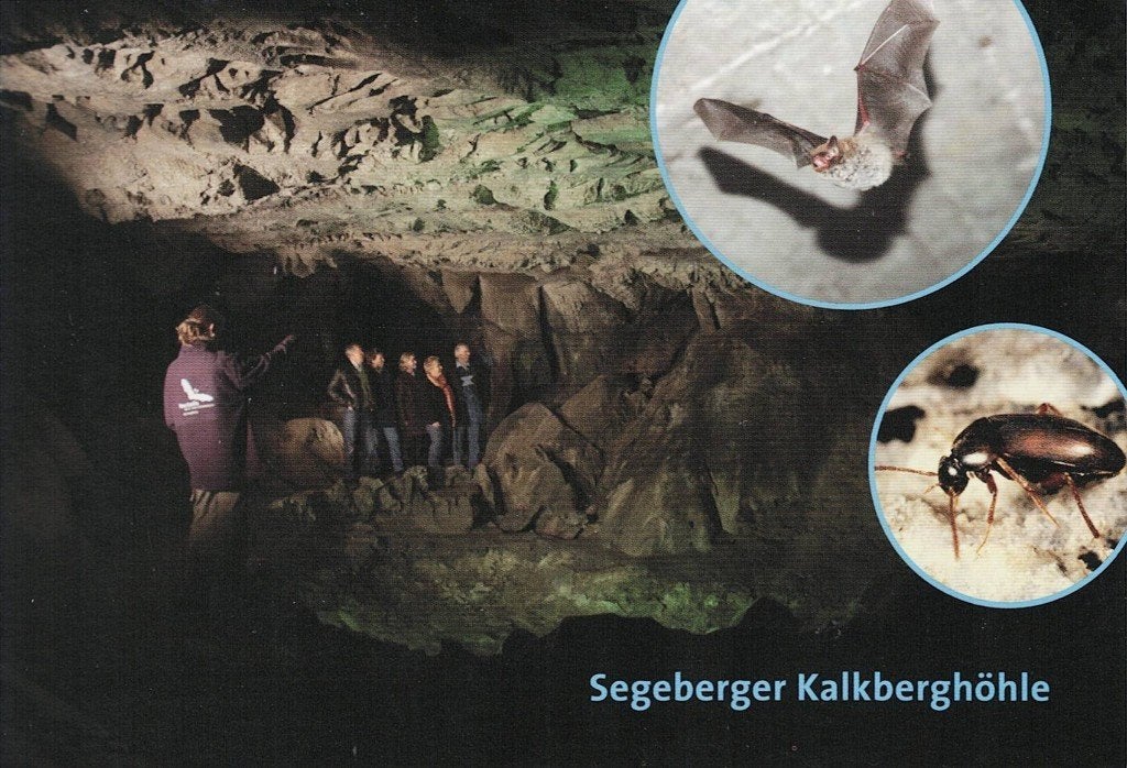 Segeberger Kalkberghohle 412, Ophalen of Verzenden, 1980 tot heden, Gelopen, Overige soorten