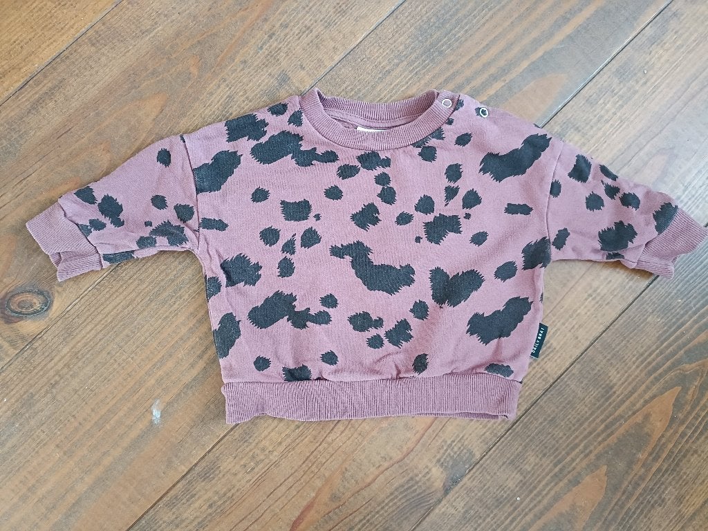 Leuke trui Daily Brat MT 68 (6-9M), Gebruikt, Truitje of Vestje, Meisje, Daily Brat