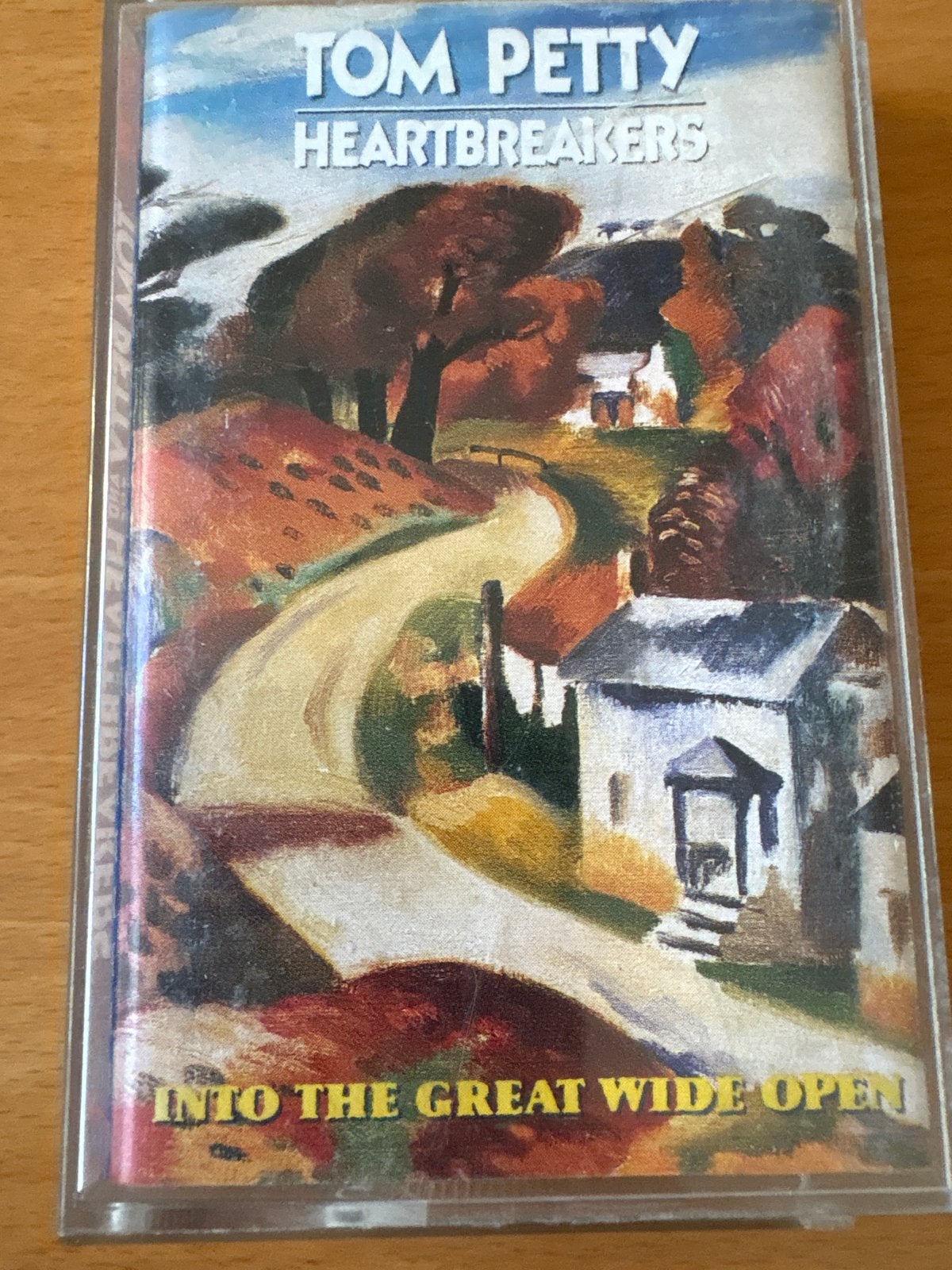 Tom Petty & The Heartbreakers - Into The Great Wide Open, Gebruikt, Ducoso, 1 bandje, Ophalen of Verzenden