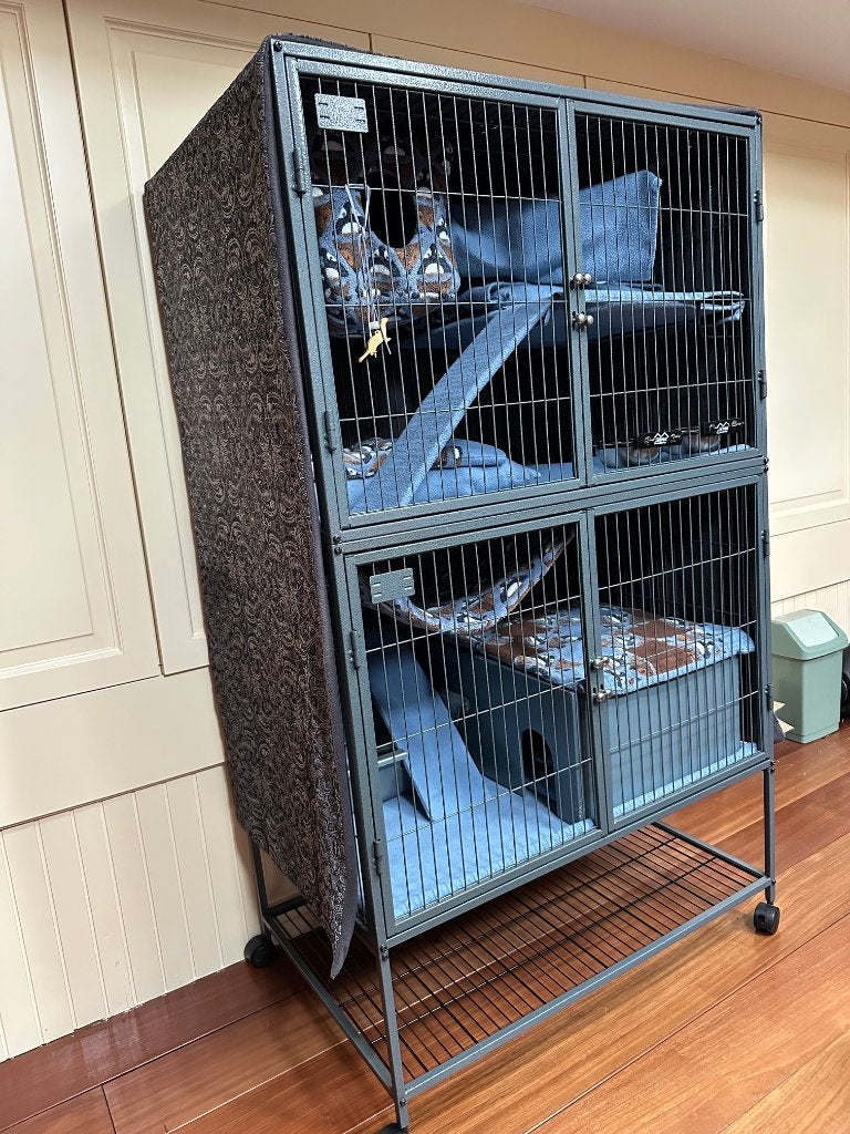 Dubbele Ferret Nation, Dieren en Toebehoren, Knaagdieren en Konijnen | Hokken en Kooien, Ophalen, Kooi, Zo goed als nieuw, 90 cm of meer