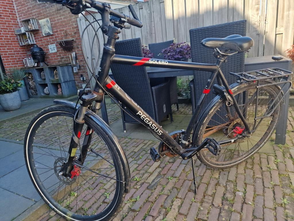 Pegasus Solero fiets voor lange personen, Gebruikt, Versnellingen, 61 tot 65 cm, Schijfrem