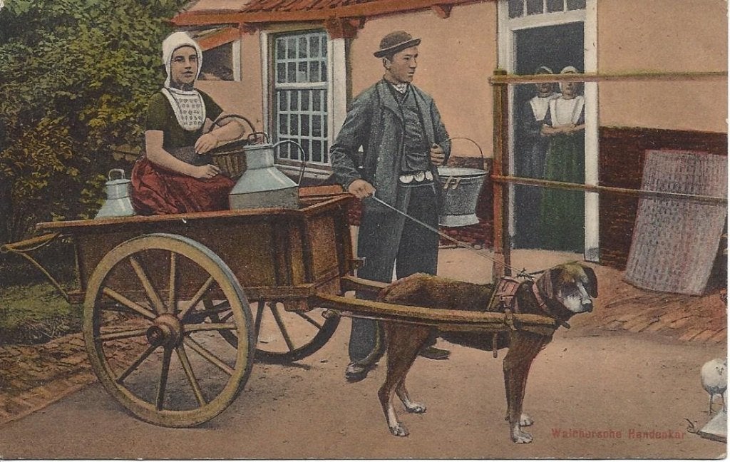 Walchersche Hondenkar, Klederdracht, Ophalen of Verzenden, Voor 1920, Ongelopen, Zeeland