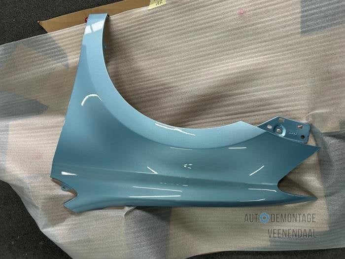 Scherm links-voor van een Volkswagen Polo (LD5M), -, Volkswagen, -, Nieuw