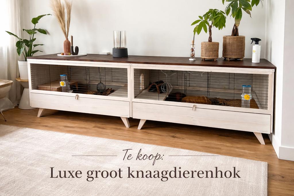 Beeztees knaagdierenhok – uniek dressoir!, Dieren en Toebehoren, Knaagdieren en Konijnen | Hokken en Kooien, Ophalen, 110 cm of meer