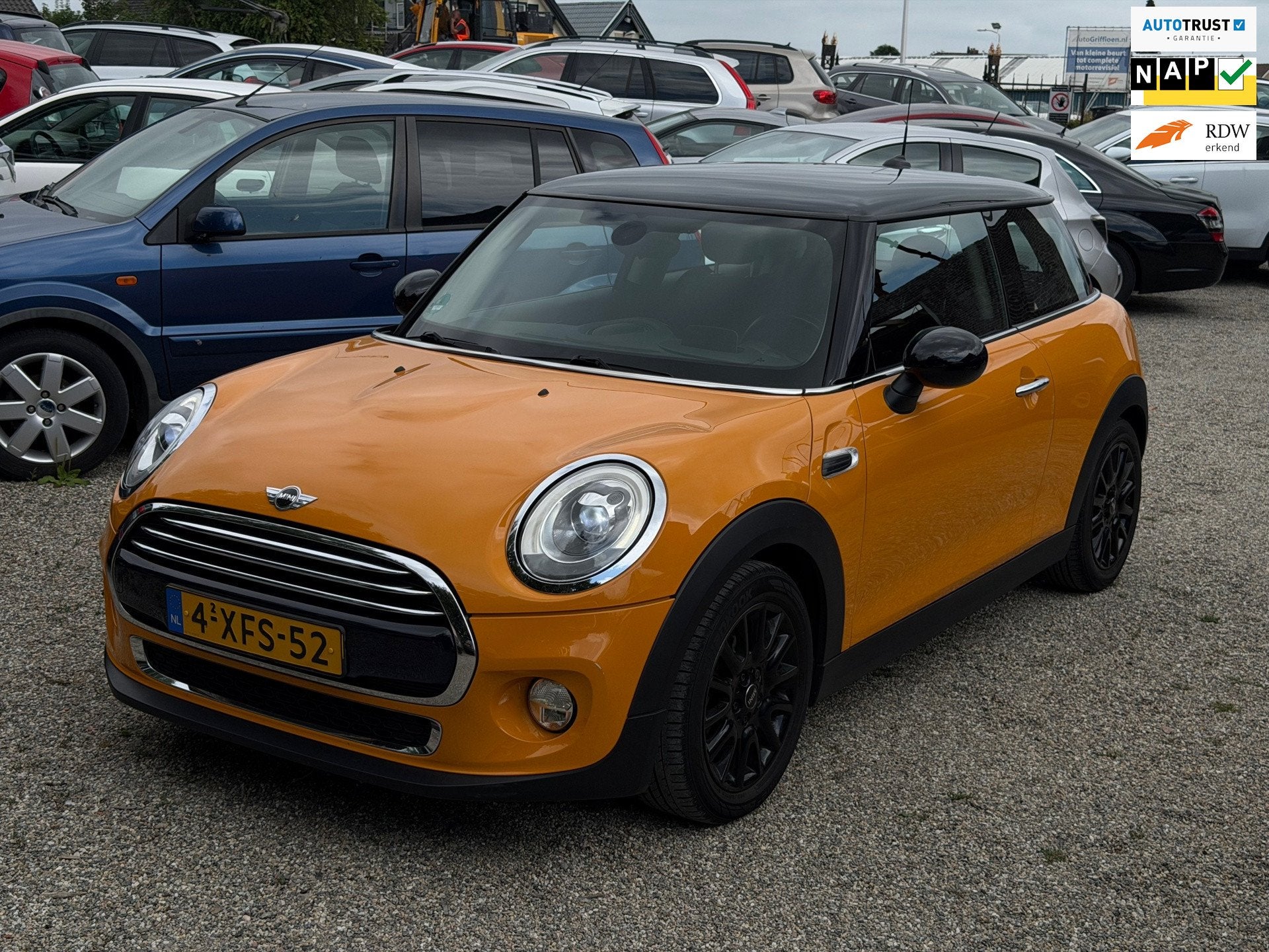 Mini 3-Deurs 1.5 Cooper First Born Edition Vol Optie Automaa, 136 pk, Gebruikt, Overige kleuren, 4 stoelen