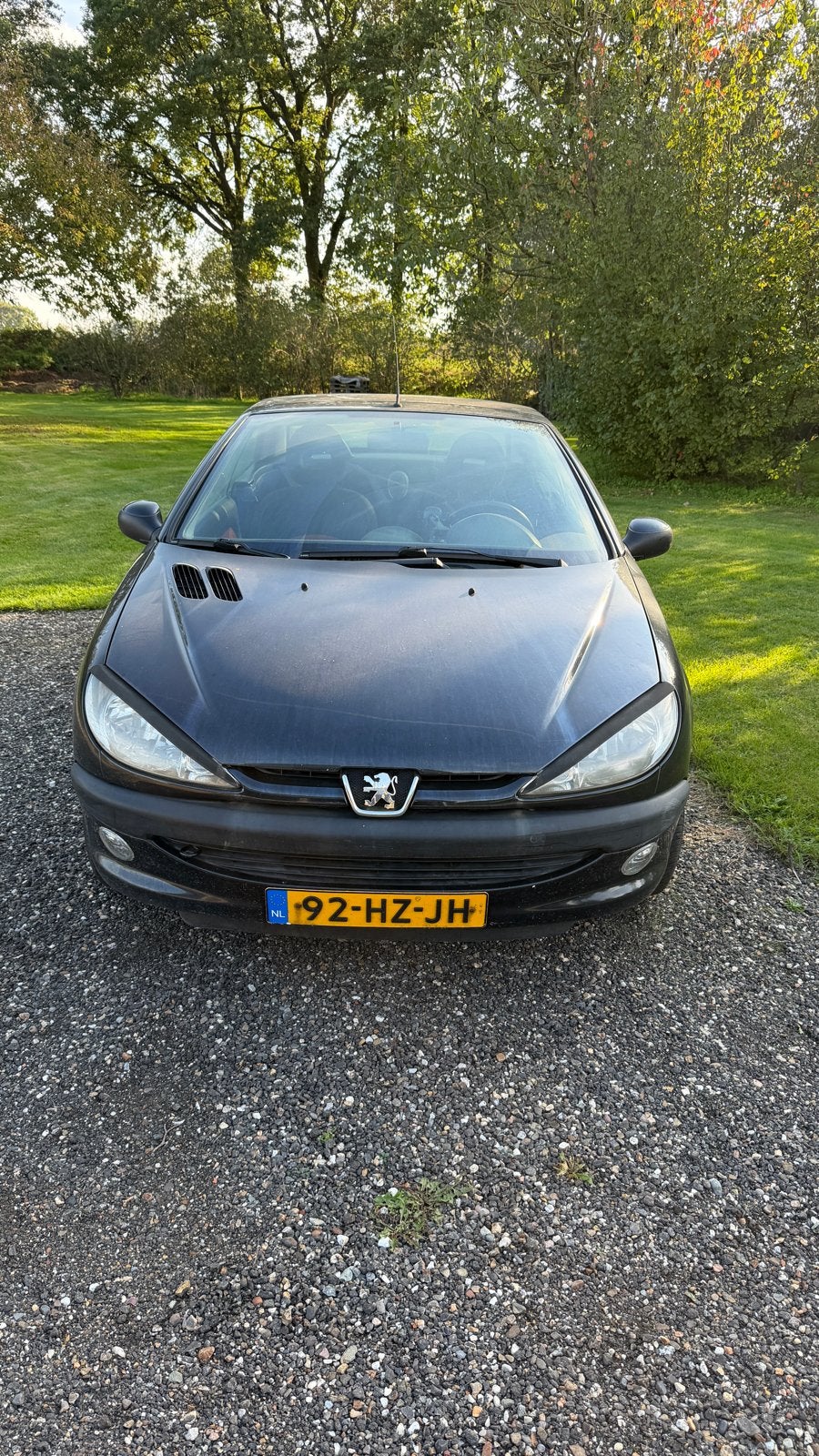 Peugeot 206 1.6 16V CC 2002 Zwart, Auto's, Voorwielaandrijving, 4 cilinders, Cabriolet, 4 stoelen