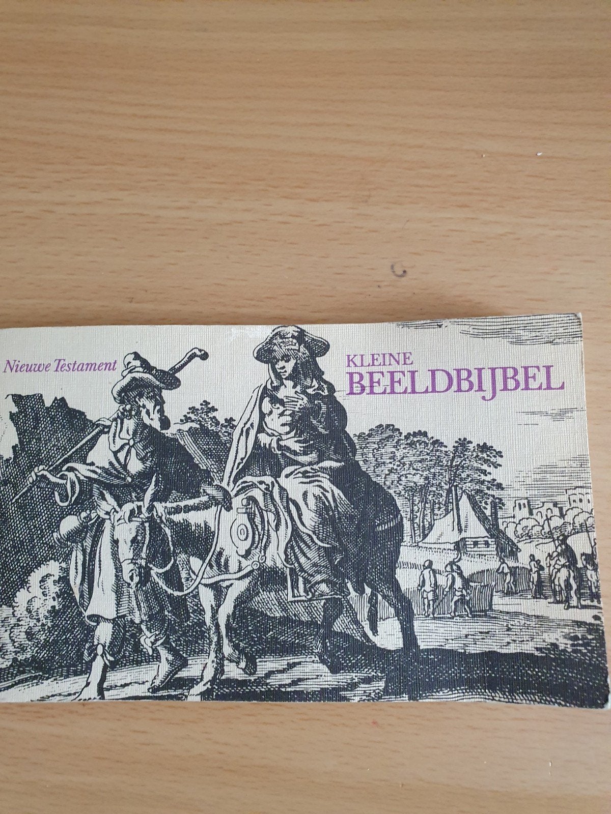 Kleine Beeldbijbel - Nieuwe Testament, Ophalen of Verzenden, Onbekend