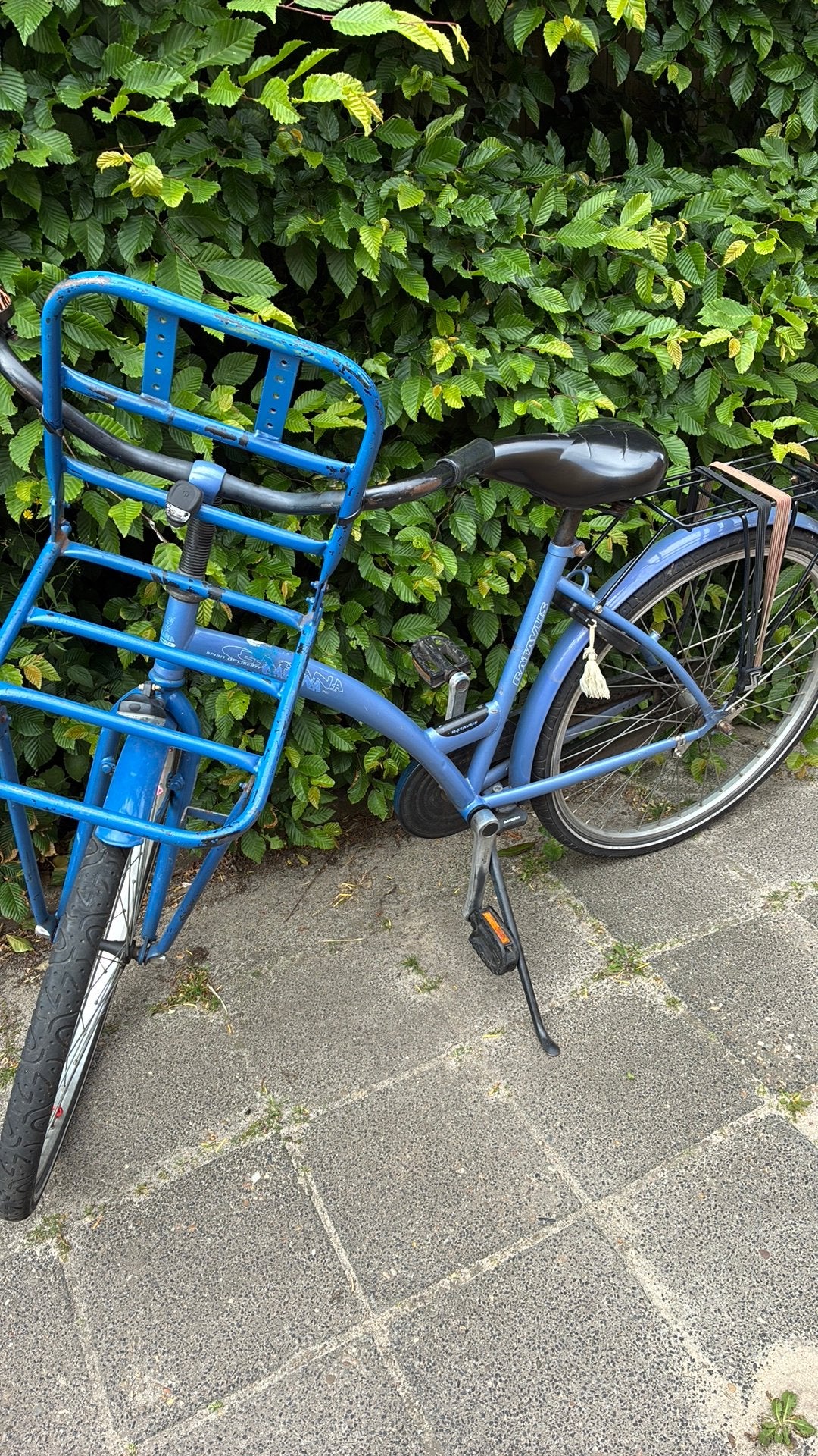 Batavus kinderfiets 22 inch, Ophalen, Terugtraprem, 22 inch, Gebruikt